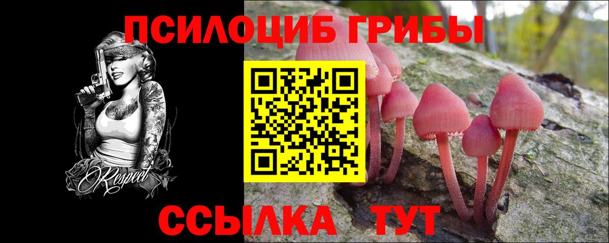 Галлюциногенные грибы GOLDEN TEACHER Рязань